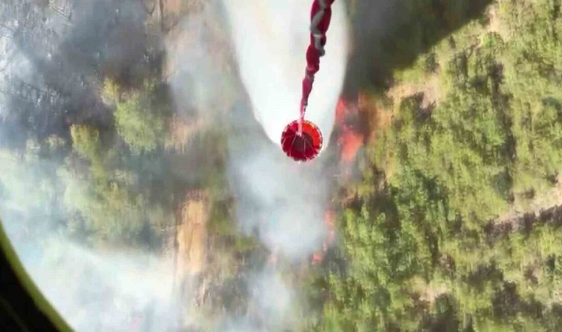 Sakarya’nın Taraklı ilçesinde çıkan ve Bilecik’e sıçrayan orman yangını 24