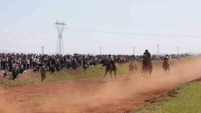 Erzurum’un Hınıs ilçesinde 3. Geleneksel At Yarışı Festivali düzenlendi. Toplamda