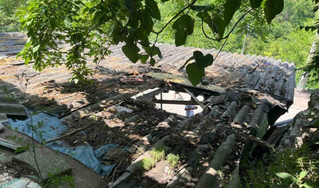 Kocaeli’nin İzmit ilçesinde ipini koparıp kaçan kurbanlık boğa, çıktığı garaj