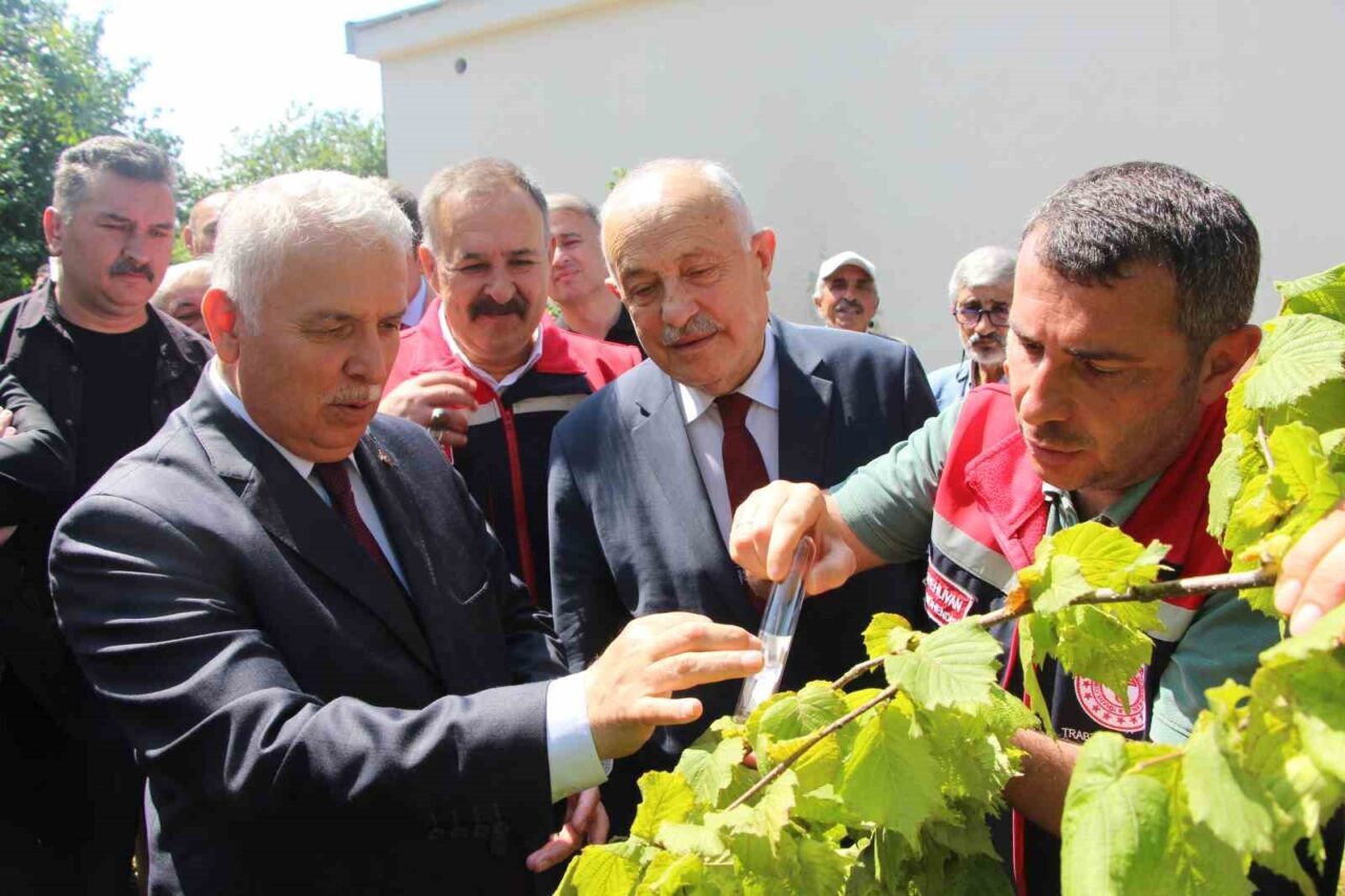 Trabzon’da tarım ürünü zararlısı kahverengi kokarcaya karşı üretilen samuray arıları