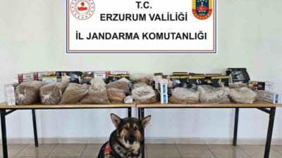 Erzurum İl Jandarma Komutanlığı Kaçakçılık ve Organize Suçlarla Mücadele Şube