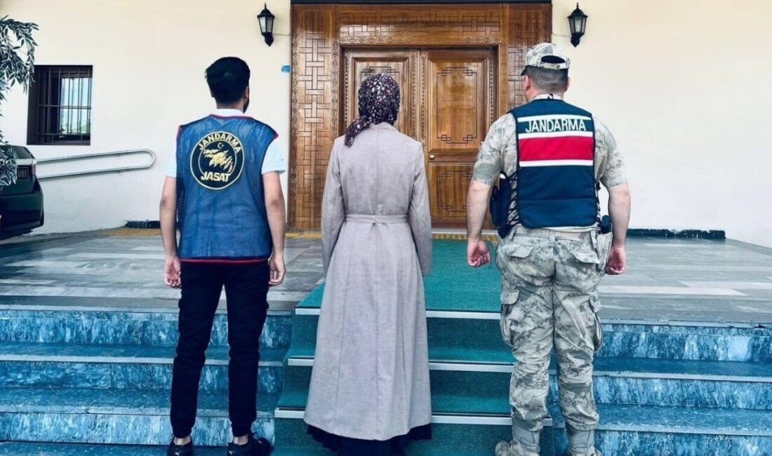 Erzurum’da jandarma ekipleri, hakkında yakalama kararı olan bir şahsı Narman