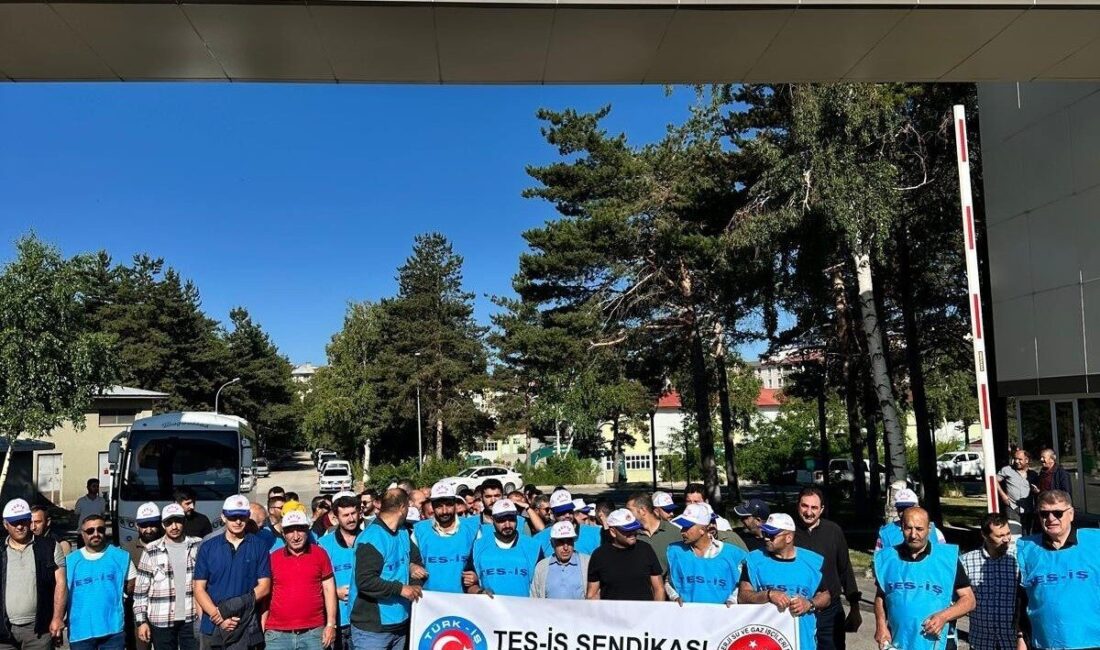 Türk-İş’e bağlı Tes-İş Sendikası üyeleri Erzurum’da bir basın açıklaması yaparak