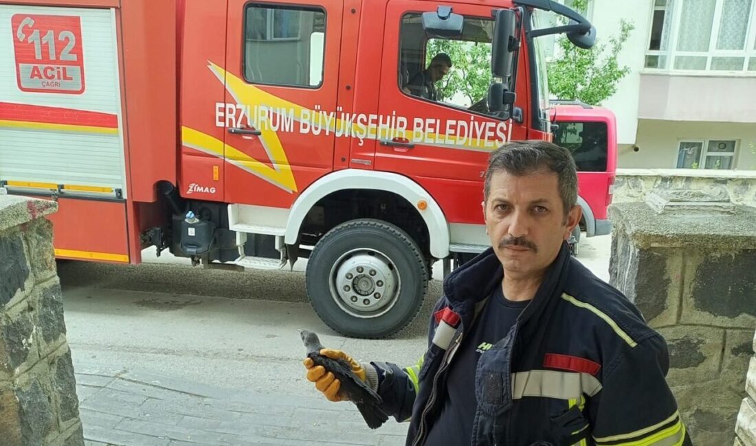 Erzurum’da bir evin havalandırma boşluğuna giren ve burada mahsur kalan