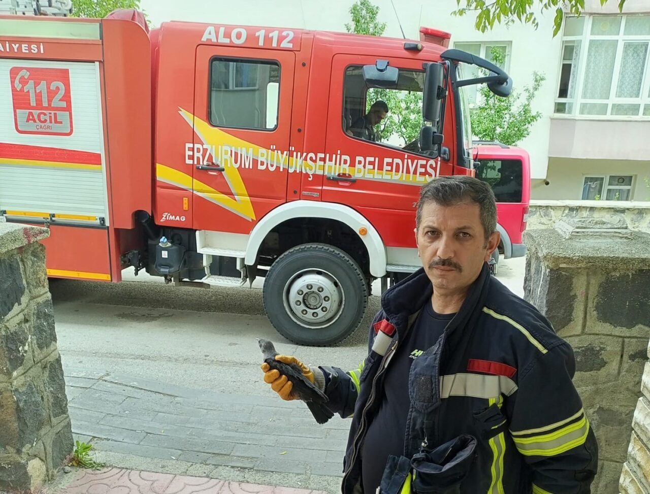 Erzurum’da bir evin havalandırma boşluğuna giren ve burada mahsur kalan