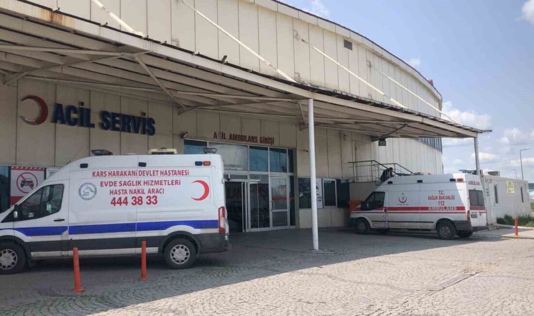 Kars’ta acemi kasaplar, kendilerini kesti. Kurbanlıklarını keserken kendilerini yaralayan 37