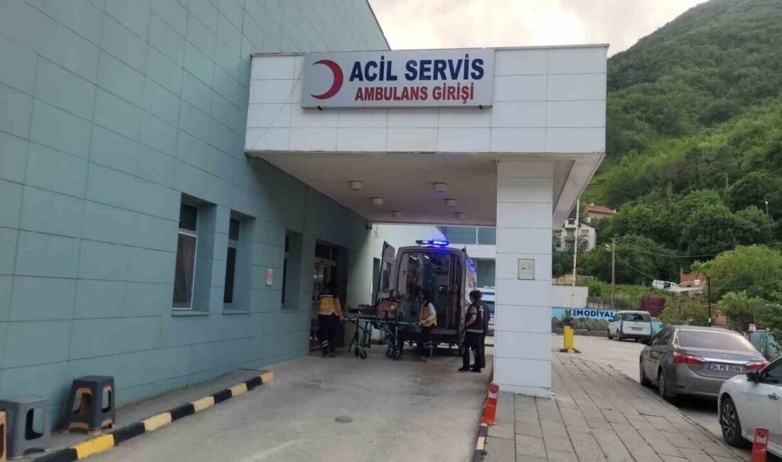 Kastamonu’nun İnebolu ilçesinde akrebin soktuğu yaşlı kadın, hastaneye kaldırılarak tedavi