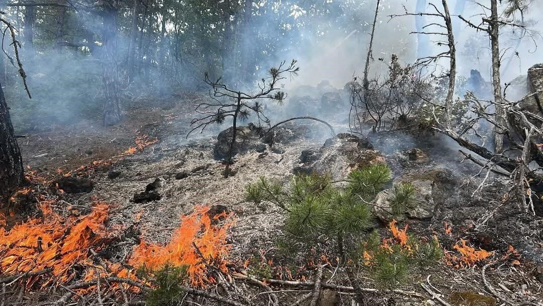 Kastamonu’nun Daday ilçesinde ormanlık alanda çıka yangın, ekiplerin hızlı müdahalesiyle