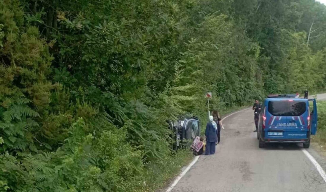 Kastamonu’nun Cide ilçesinde cipin takla atması neticesinde meydana gelen kazada