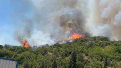 Kocaeli’nin Körfez ilçesinde ağaçlık alanda çıkan yangına müdahale sürüyor. Edinilen