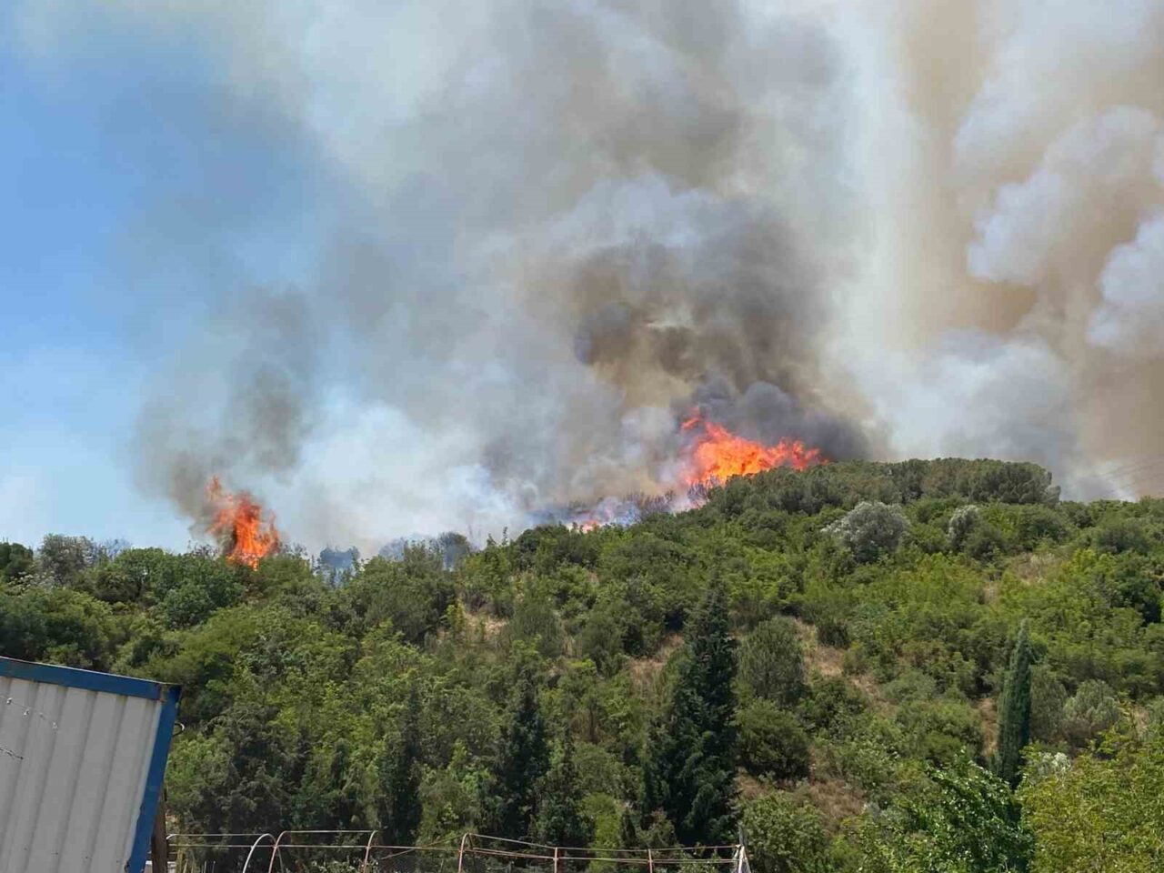 Kocaeli’nin Körfez ilçesinde ağaçlık alanda çıkan yangına müdahale sürüyor. Edinilen