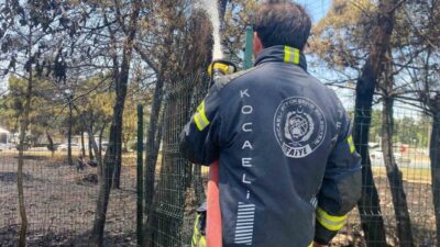 Kocaeli’nin Derince ilçesinde ağaçlık alanda çıkan yangın korkuttu. Alevlere müdahale