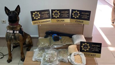 Kocaeli’nin Karamürsel ilçesinde bir depoya düzenlenen operasyonda 9 bin 900