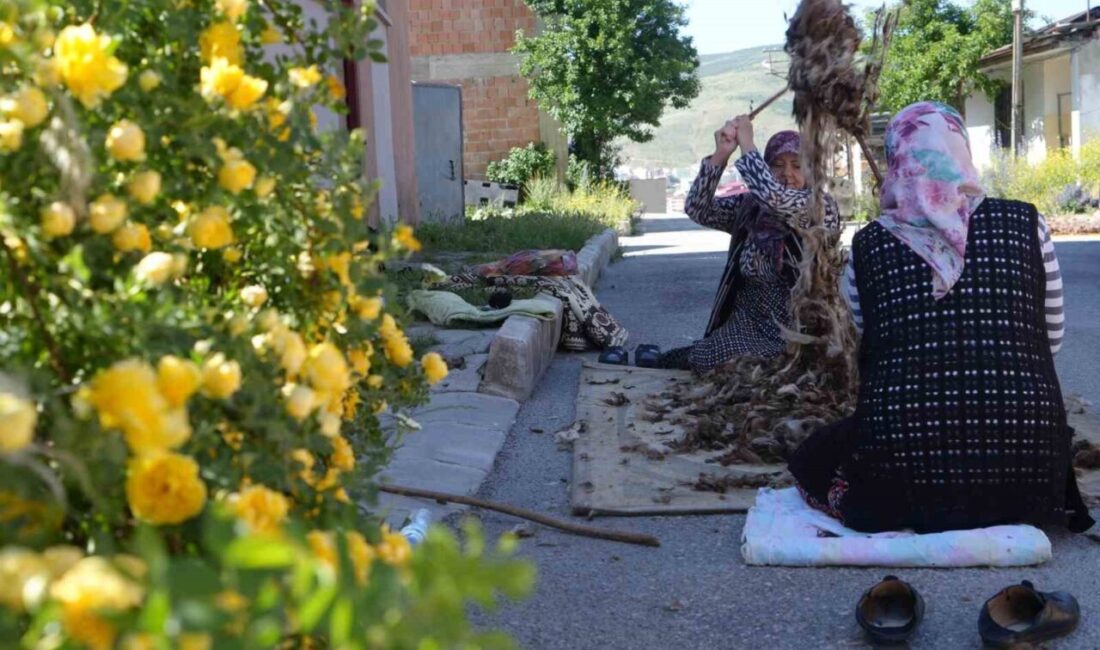 Bayburtlu kadınlar, yaz aylarının gelmesiyle birlikte geleneksel yün çırpma mesaisine