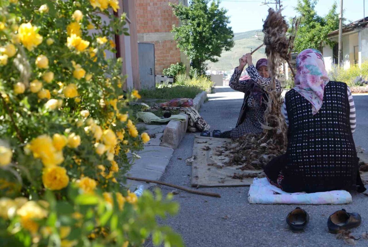 Bayburtlu kadınlar, yaz aylarının gelmesiyle birlikte geleneksel yün çırpma mesaisine