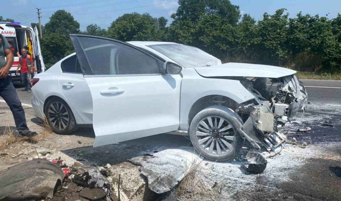 Sakarya’nın Karasu ilçesi D-650 kara yolunda kontrolden çıkan otomobil, refüje