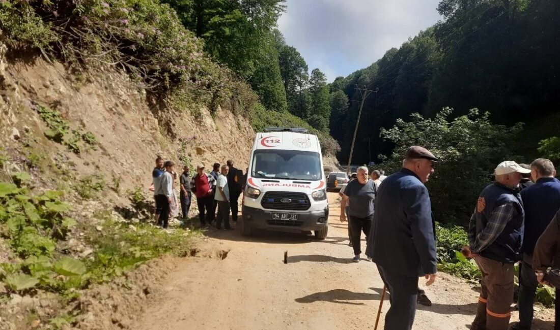 Sakarya’nın Akyazı ilçesinde kontrolden çıkan pat pat, dereye devrildi. Meydana