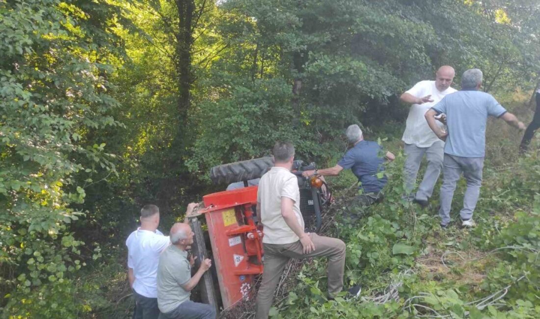 Zonguldak’ın Alaplı ilçesinde orman yolunda devrilen traktörün sürücüsü yaralandı. Sağlık