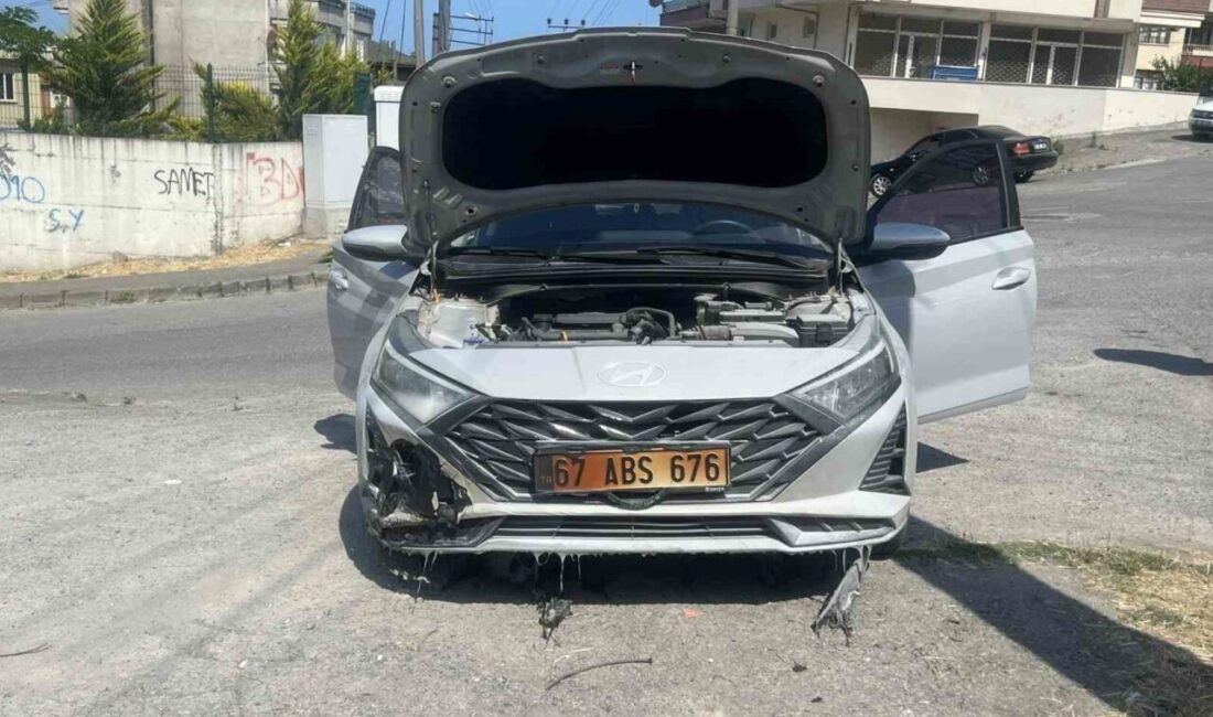 Zonguldak’ın Alaplı ilçesinde elektrik direğinden kopan tellerinden çıkan kıvılcımlarla başlayan
