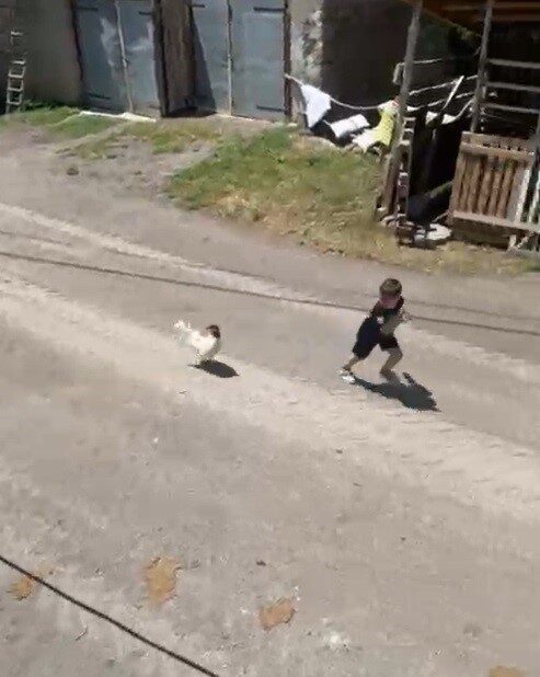 Erzincan’ın Tercan ilçesinden Bayburt’un Çakırbağ köyüne tatile gelen Ömer Arda’nın