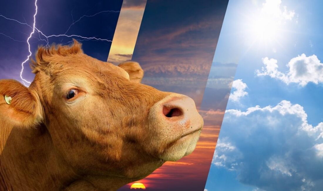 Bayram boyunca hava sıcaklığı mevsim normallerinin üzerinde seyredecek. Yurdun doğusunda