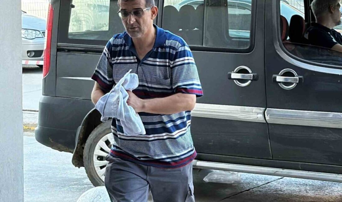 Sakarya’da Kurban Bayramı’nın ilk gününde hastanelerin acil servisleri, her yıl