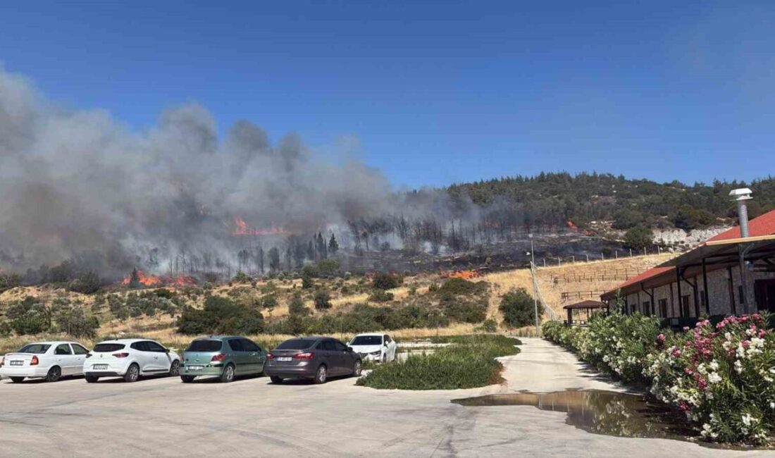 Aliağa ve Foça’da İzmir’in ciğerlerini yakan yangınlara karşı Menemen Belediyesi