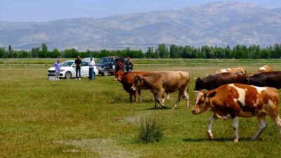 Erzincan’da köylerdeki meralarda otlatılan hayvanların su ihtiyaçlarının giderilmesi amacıyla ıslah