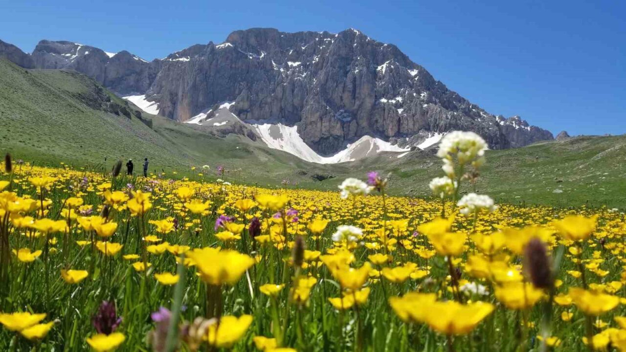 Erzincan ve Tunceli arasında yer alan Munzur Dağları eteklerinde yaklaşık