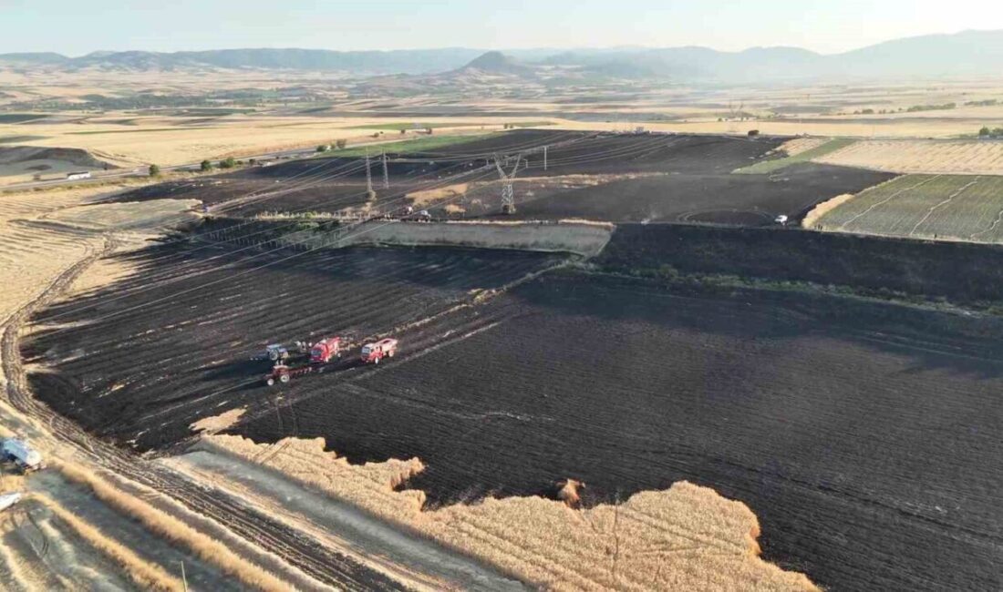 Amasya’nın Merzifon ilçesinde çıkan yangında 80 dönüm tarım arazisi zarar