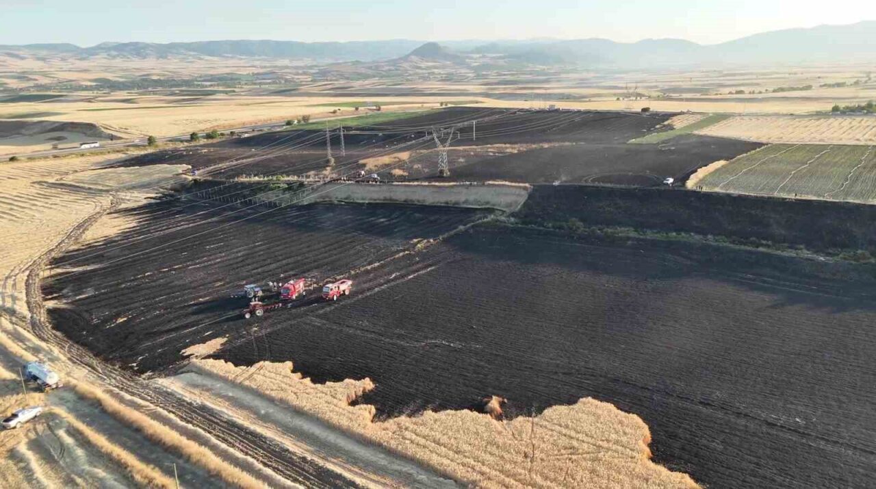Amasya’nın Merzifon ilçesinde çıkan yangında 80 dönüm tarım arazisi zarar