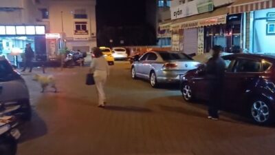 Muğla Valiliği 5.8 şiddetinde meydana gelen deprem sonrası bölgede herhangi