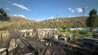 Erzurum’un Oltu ilçesine bağlı İriağaç Mahallesi’nde çıkan yangında 30 arı