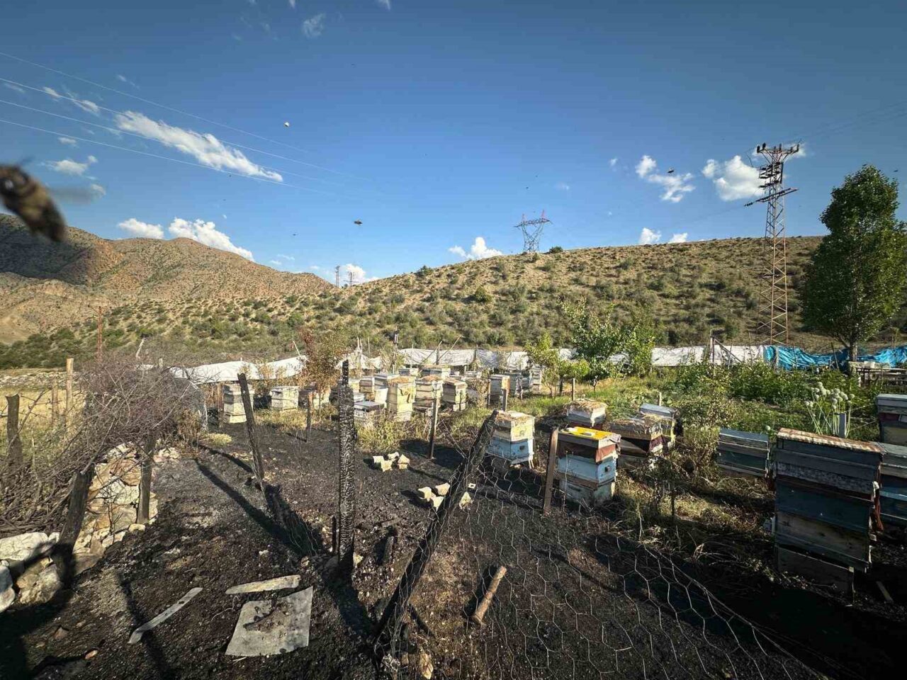 Erzurum’un Oltu ilçesine bağlı İriağaç Mahallesi’nde çıkan yangında 30 arı