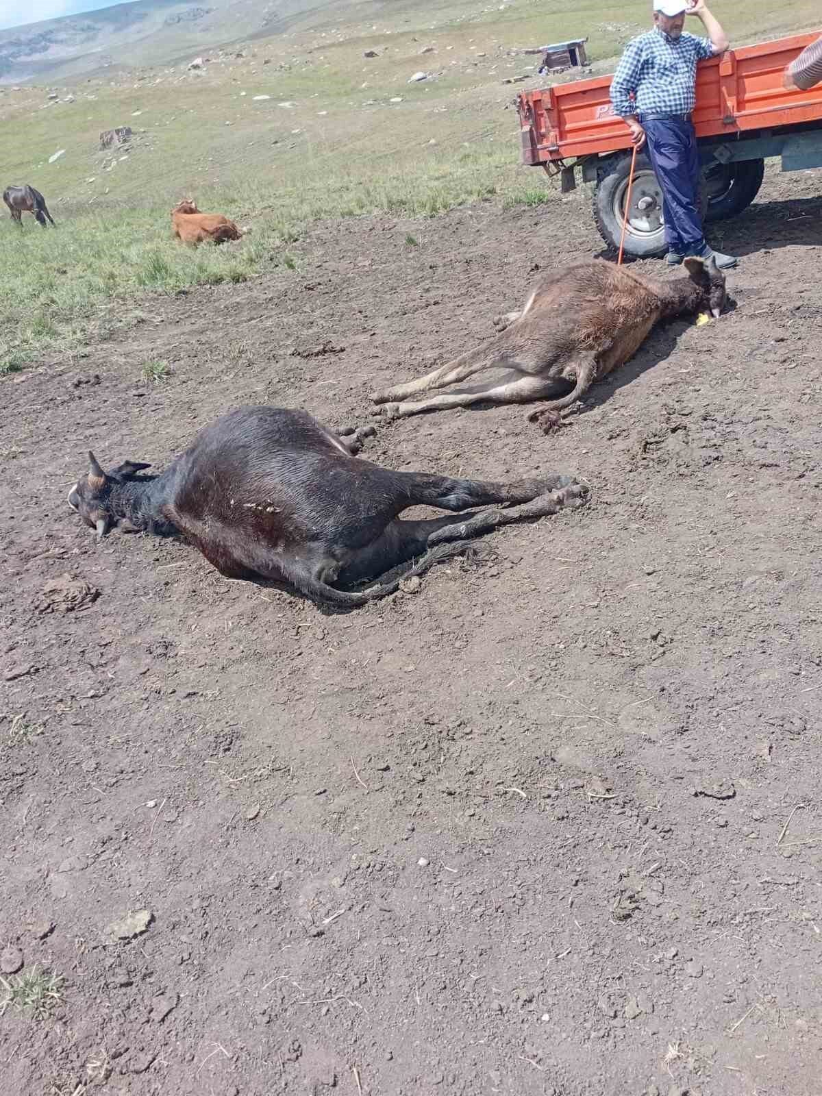 Erzurum’un Oltu ilçesine bağlı Süleymanlı ve Nügürcük mahallelerinin ortak kullandığı