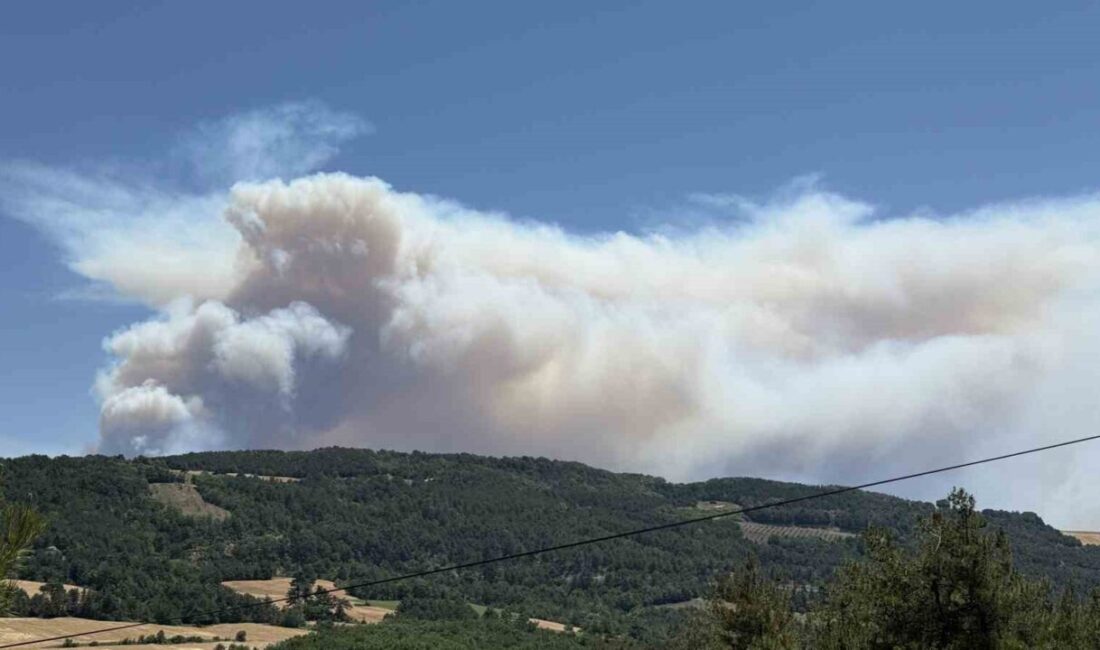 Sakarya’nın Taraklı ilçesinde başlayıp, Bilecik’e sıçrayan orman yangınında itfaiyeciler alevlerin