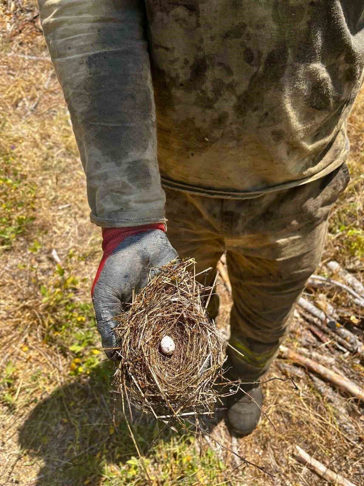 Sakarya’nın Taraklı ilçesinde çıkan orman yangınına müdahale eden ekipler, yalnızca