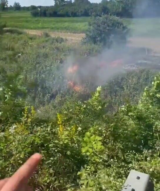 Sakarya’nın Akyazı ilçesinde otluk alanda çıkan yangın, kara yolunu kapladı.