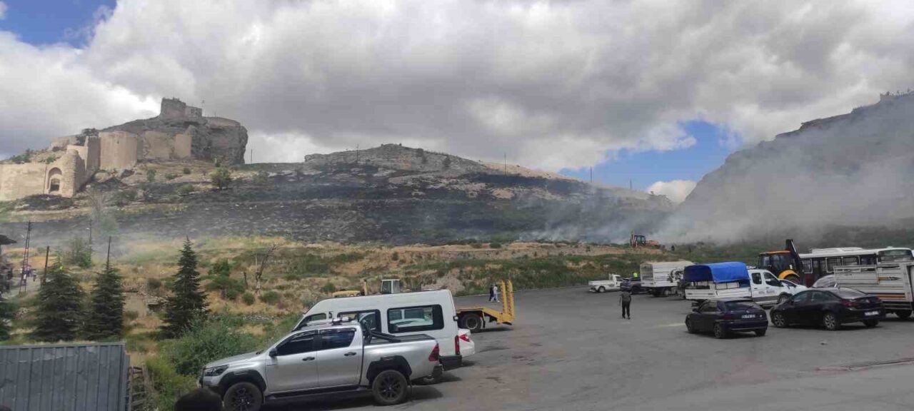 Sivas’ın Divriği ilçesinde otluk arazide çıkan yangın paniğe neden oldu.