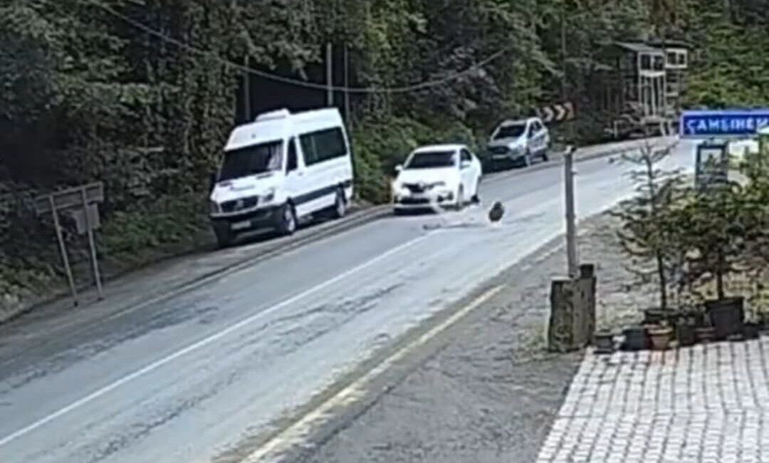 Rize’de yamaçtan kopan kaya otomobilin önüne düştü. Otomobilin saniyelerle kayadan