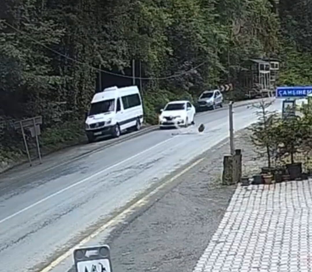 Rize’de yamaçtan kopan kaya otomobilin önüne düştü. Otomobilin saniyelerle kayadan