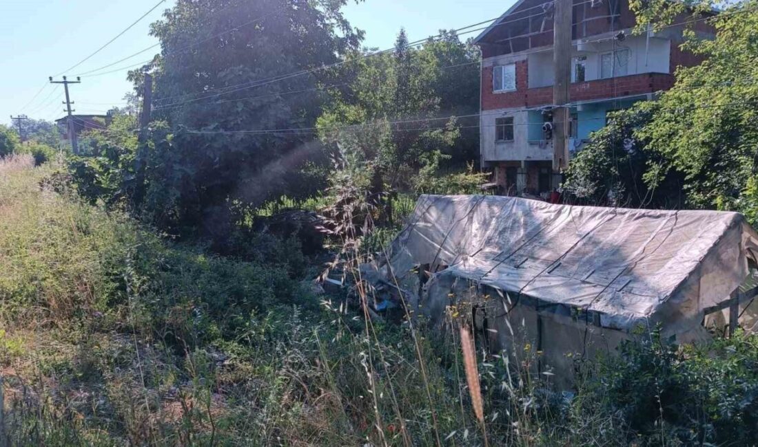 Otomobil evin bahçesine savruldu: 1 ölü, 3 yaralı Zonguldak istikametine ilerleyen otomobil, sürücüsünün direksiyon hâkimiyetini kaybetmesi sonucu önce