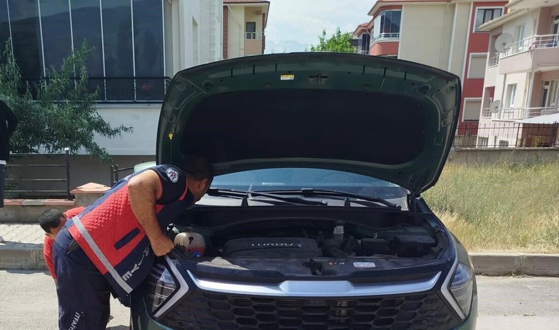 Erzincan’da otomobilin kaput kısmına girip orada sıkışan iki yavru kedi