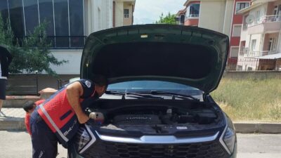 Erzincan’da otomobilin kaput kısmına girip orada sıkışan iki yavru kedi