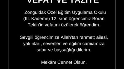 Zonguldak Özel Eğitim Uygulama Okulu (III. Kademe) 12. sınıf öğrencisi
