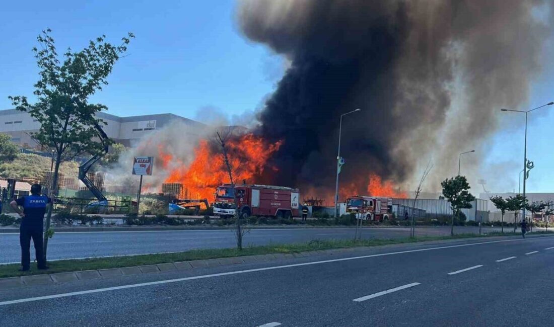 Kocaeli’nin Çayırova ilçesinde palet fabrikası alev alev yanıyor. Bölgeye çok
