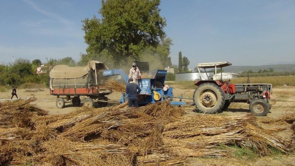 Erzincan’da tarım ve hayvancılıkla uğraşan çiftçiler, 35 derece sıcaklığın altında