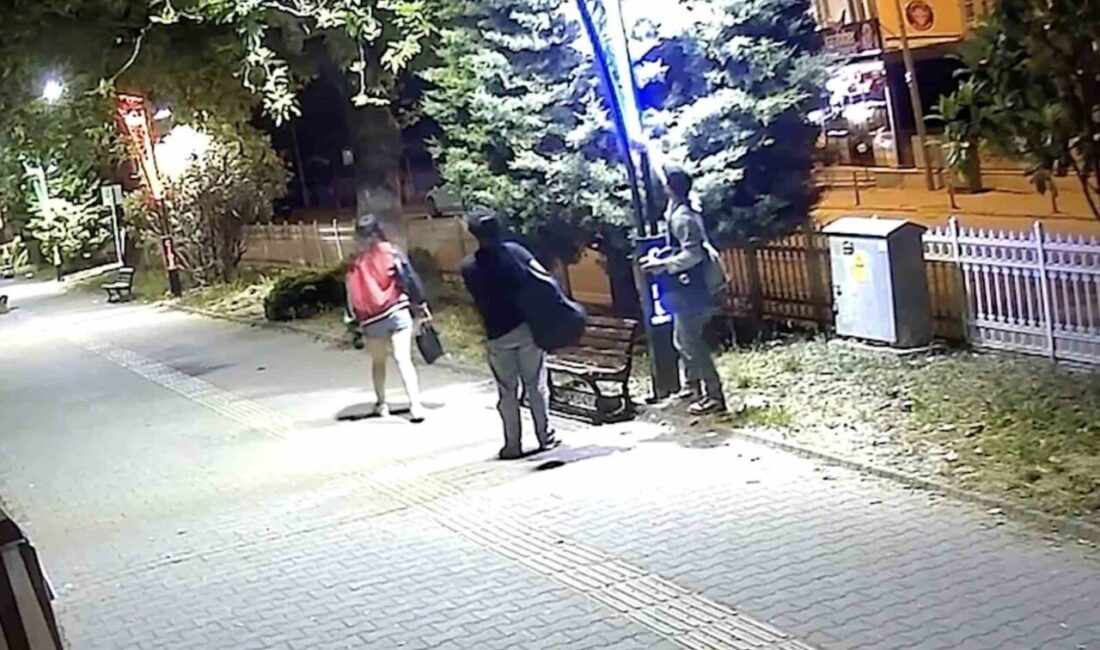 Kastamonu’nun Cide ilçesinde, 22 aydınlatma direğinin kabloları eğlenmek isteyen gençler