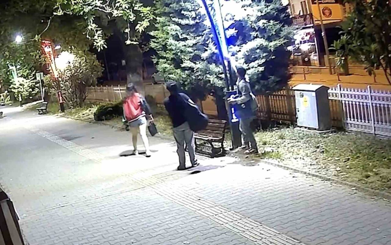 Kastamonu’nun Cide ilçesinde, 22 aydınlatma direğinin kabloları eğlenmek isteyen gençler