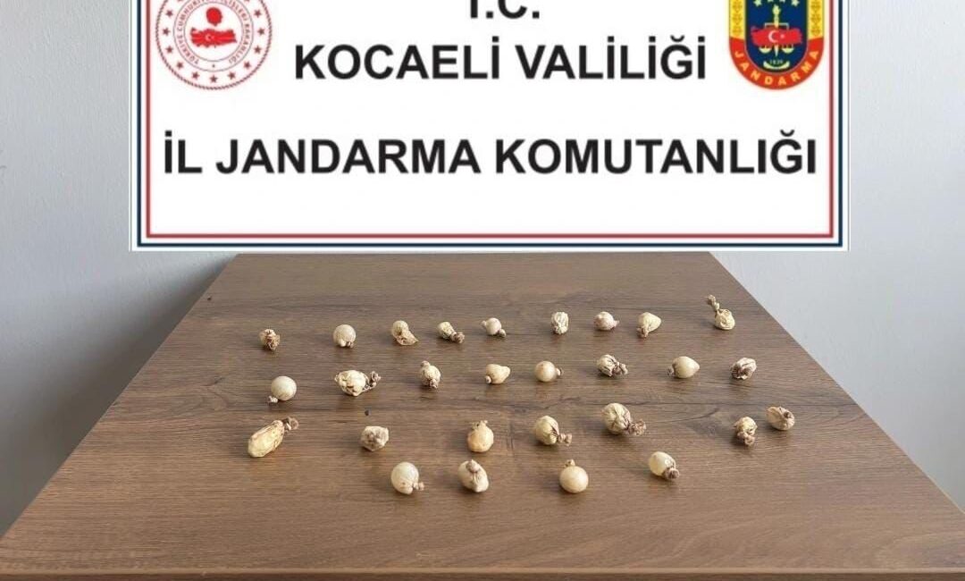 Rahatsızlanınca midesinde kapsül kapsül uyuşturucu çıktı Kocaeli’nin Körfez ilçesinde rahatsızlanınca jandarma ve sağlık ekipleri tarafından hastaneye